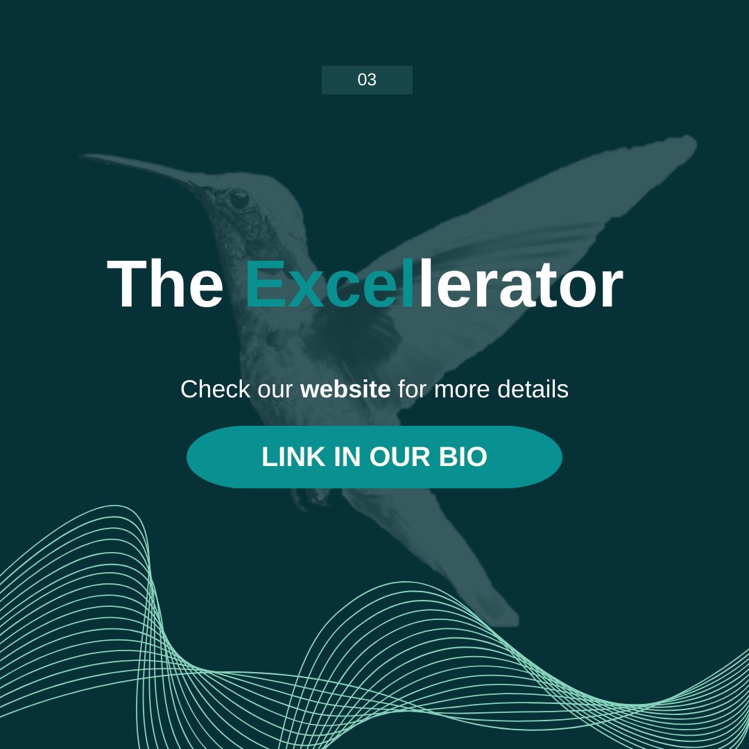 GlobalBRev's tweet photo. Early bird applications open 01.02 and close 28.02, and will be considered on a rolling basis. You will need to attach your CV (max. 2 pages) and fill out the application form that we will provide. The selection procedure has 2 phases: application submission and an interview. https://t.co/Sxf4KKE4ja