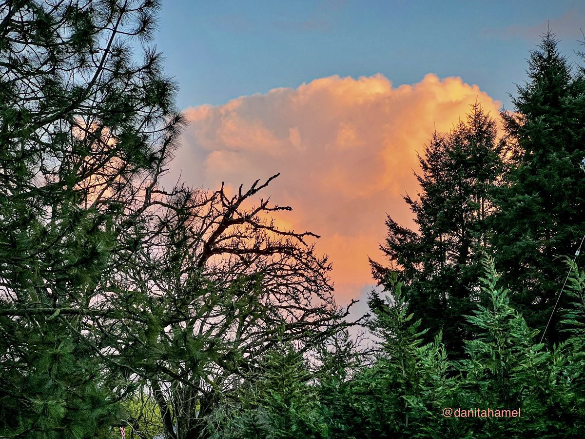 Everything is fine when there’s cotton candy and sunshine.🍬⛅️

#NaturePhotography #sunsetphotography #landscapes