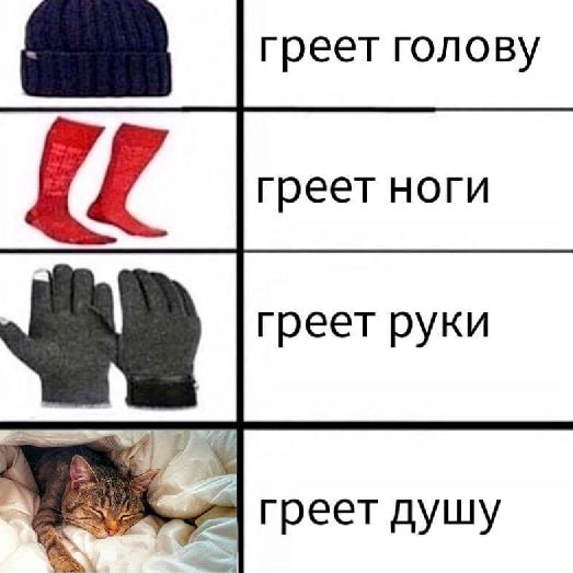 RussianMemesLtd's tweet photo. to warm my head
to warm my feet
to warm my hands
to warm my heart https://t.co/2mi2cY1vbw