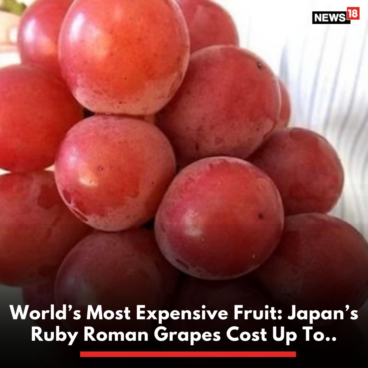 news18dotcom's tweet photo. #Japan | A #RubyRoman grape is about four times the size of an average grape. Moreover the taste and colour have to be perfect too. Harvesting starts in July and they go out into the market just in time for Ochugen, a Japanese holiday
https://t.co/4qgrU0dg2b https://t.co/MUd6PGHJE7