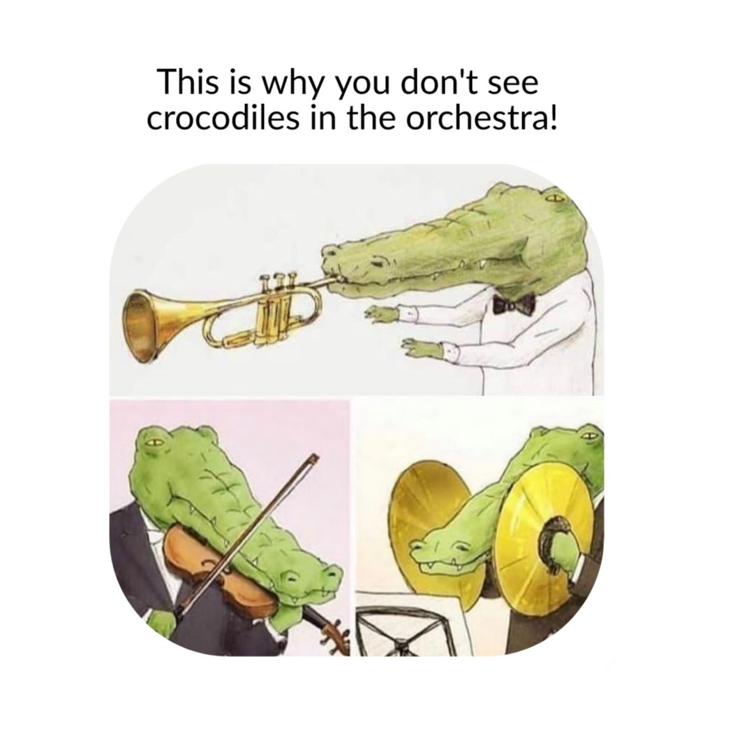 daily_classical's tweet photo. This is why you don't see crocodiles in the orchestra! #classicalmusic #ClassicalMusic #classicalmusicdaily #classicalrock #talentedmusicians #musicmemes #music #Musica https://t.co/fWONtWDj05