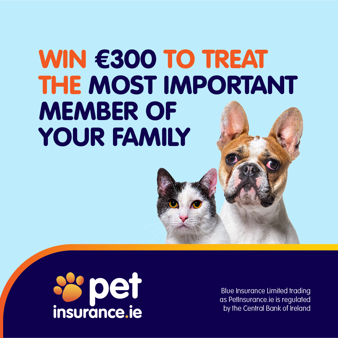 Pet Insurance tweet media