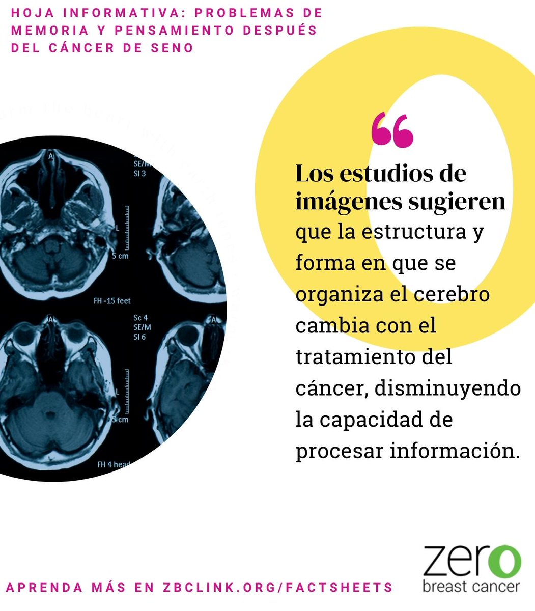 zerobreastcancr's tweet image. The brain changes with cancer treatment, including the structure and way it is organized, which can make it harder to process information. Learn more about memory and thinking problems and tips for how to cope at zbclink.org/factsheets
#ChemoBrain #MemoryProblems