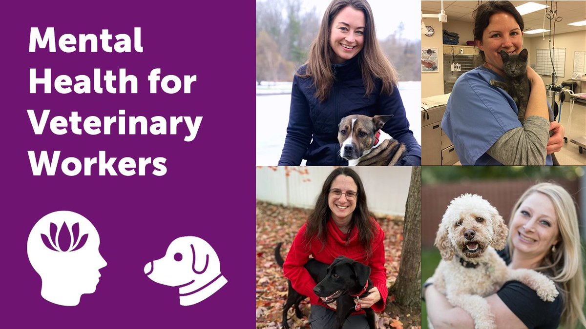 ⚠️ #MentalHealthMonday: Veterinarians experience higher suicide risk &amp; poorer well-being compared to other high-risk professions.

💡Reduce vet stress &amp; burnout with an educational program tailored to reduce reactivity during certain client interactions: ow.ly/M2fq50MqeLY