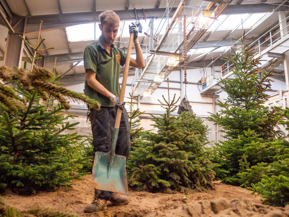 ns_recycling's tweet photo. Thank you to everyone who donated their Christmas tree to Noah’s Ark Zoo and Farm in Wraxall this year.

Please don't take any more trees to the zoo, the drop off is now CLOSED and the teams are working to clear the trees that have been left.
#RecycleYourTree https://t.co/WaNqJJjIlQ