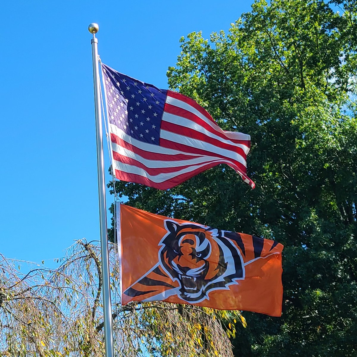 National Flag Co tweet media