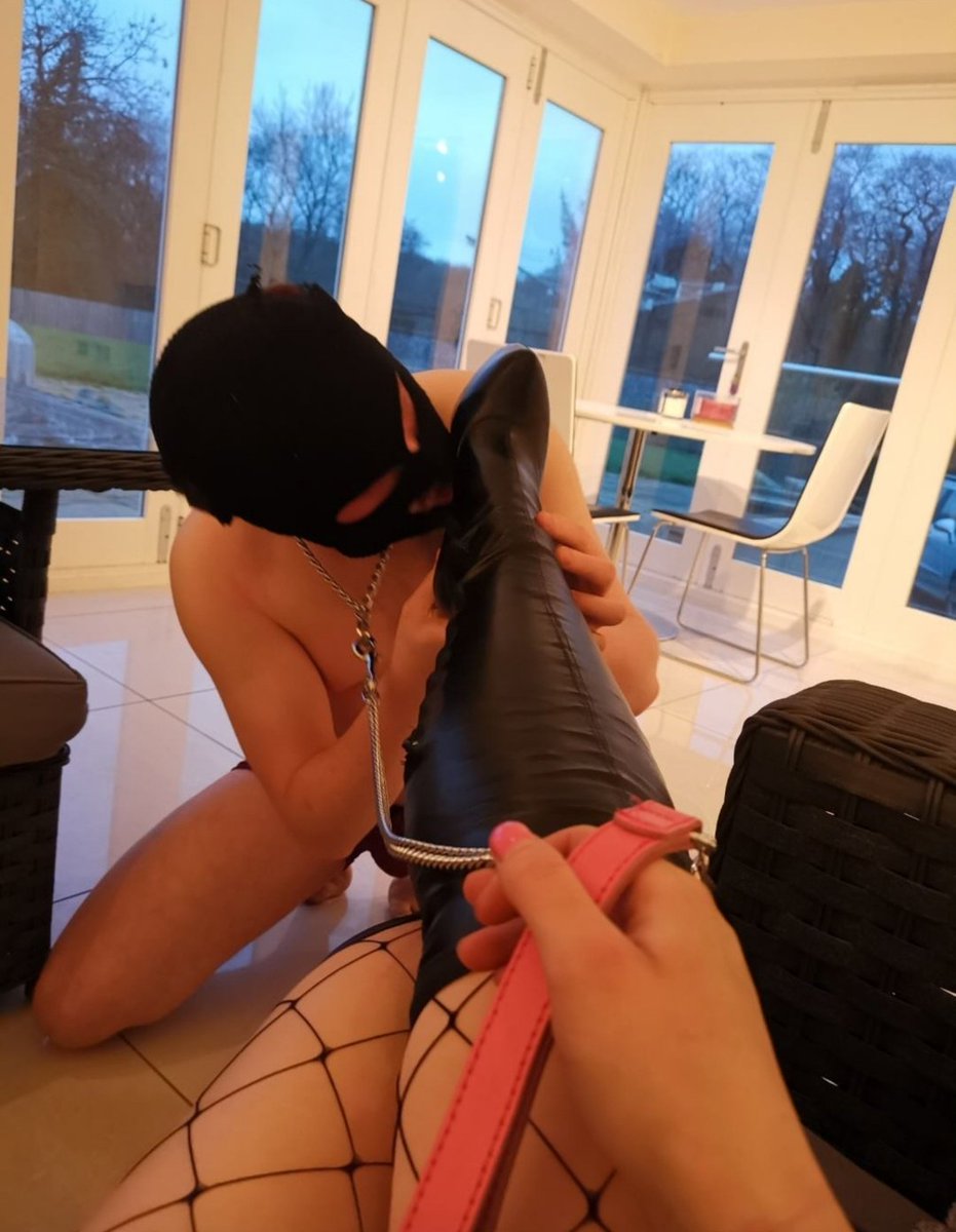 Mean Cashleigh tweet media