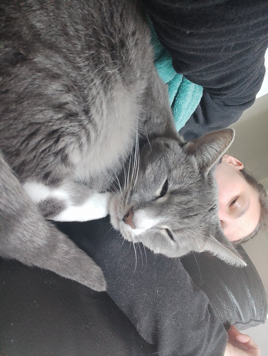 JulieTheBatgirl's tweet photo. For me #WorkLifeBalance means I not only really enjoy my weekends but after a couple days with friends and my #cat I am actually excited to come back to work on Monday advancing my projects. No more #MondayMorning dread.
#AltAc #AltAcChat #AcademicChatter #CatsofTwitter #AltAcCat https://t.co/Q4zpvfhUVq