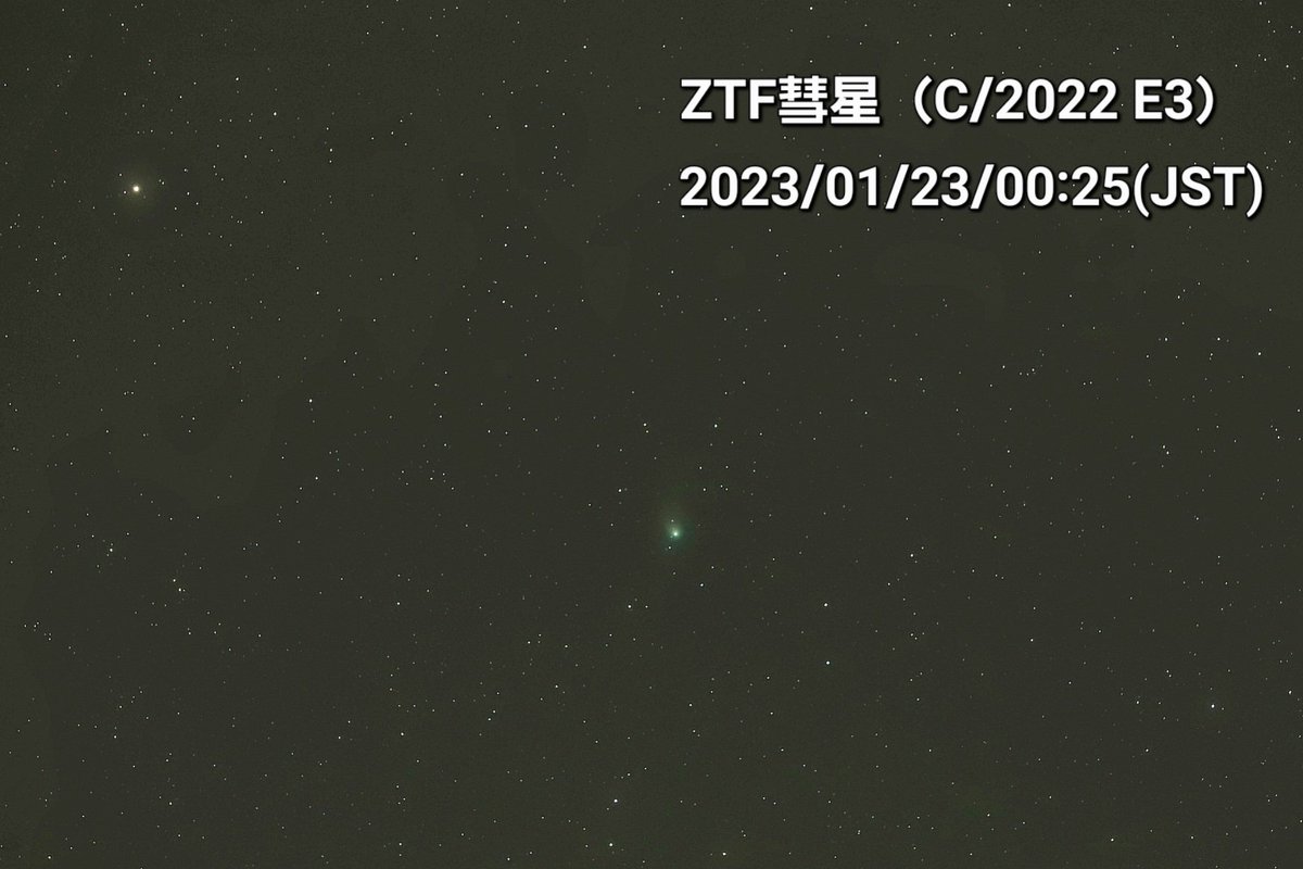 黒い彗星様 専用 プラモデル おもちゃ おもちゃ・ホビー・グッズ 新規