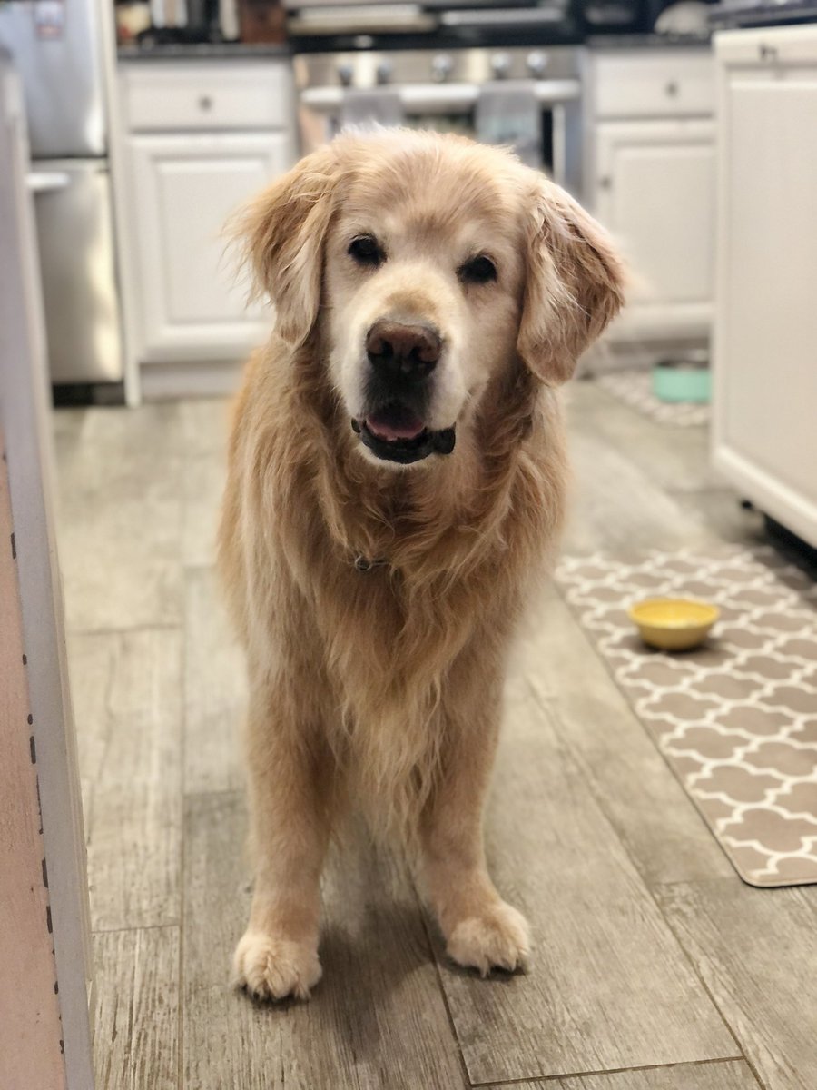 Um hello - get in here and serve me your breakfast.