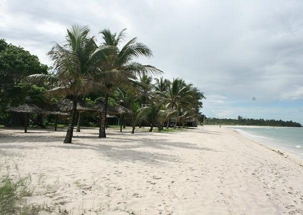 Africalive24's tweet photo. Did you know?

That #Kenya have some of the most beautiful beaches in #Africa? Kenya is blessed with beautiful coast lines and nature really have an abode in Kenya 
Frame1: Watamu Beach
Frame2: Diani Beach.

Have you visited any of the beaches in Kenya? https://t.co/uUhadscjX2