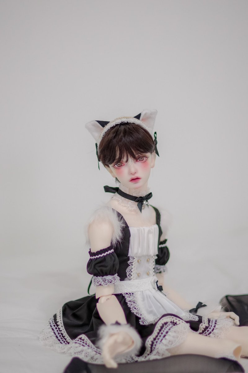 bombom_doll's tweet photo. 𝙼𝚎𝚘𝚠  𝙼𝚎𝚘𝚠 🐾 https://t.co/Od7RL9y1cp