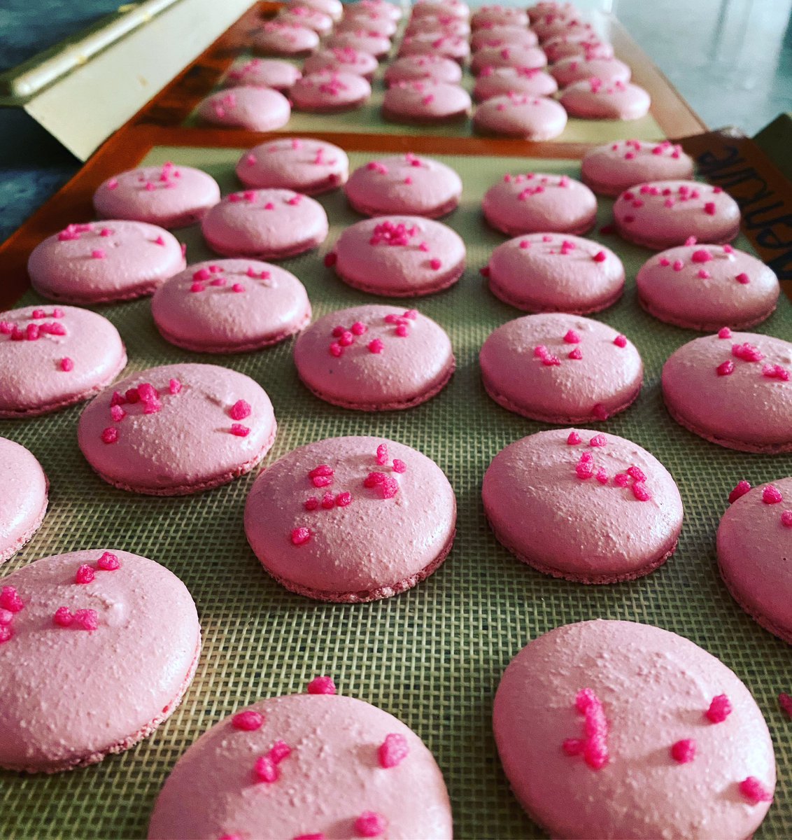 MacaronsDes's tweet photo. We’re in the pink today - busy baking. We teach Macaron making too. #baking #patisserie #macaronmaking #macaron https://t.co/tqJAZeI5dH