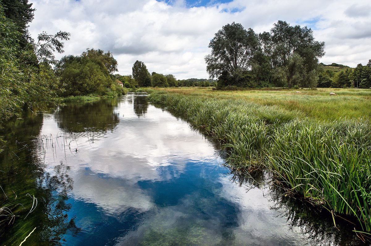 Visit South East England tweet media