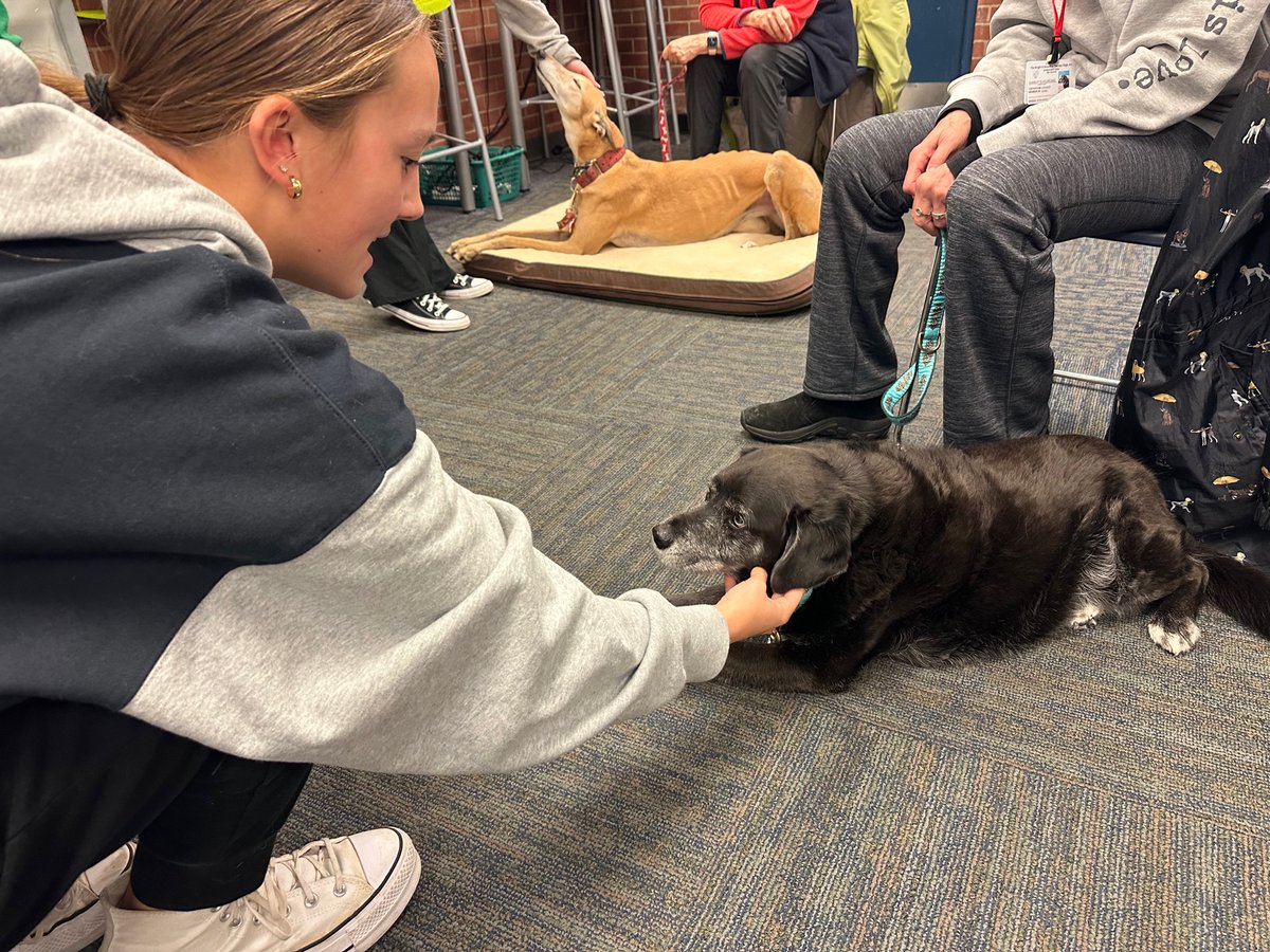 Point Boro High School tweet media