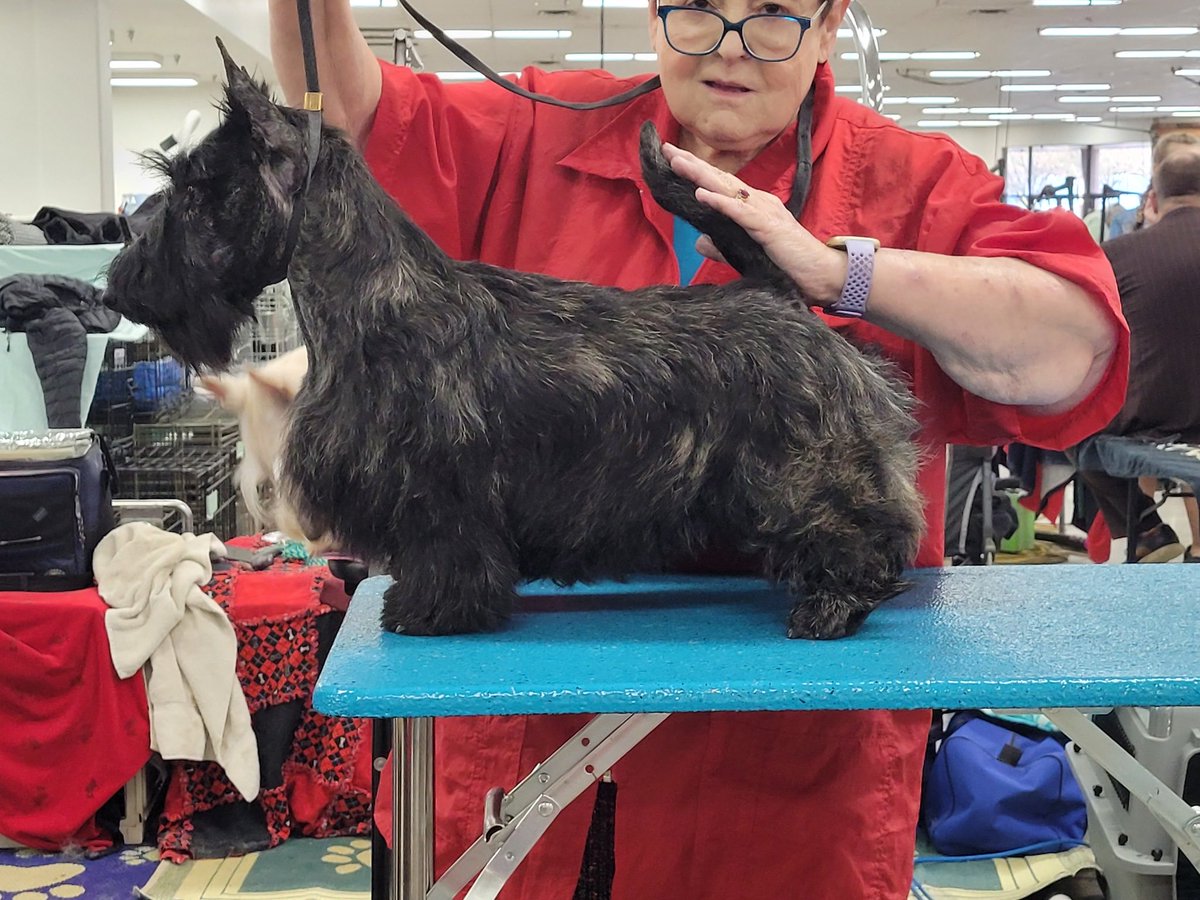 Marilyn Deutsch KPTV tweet media