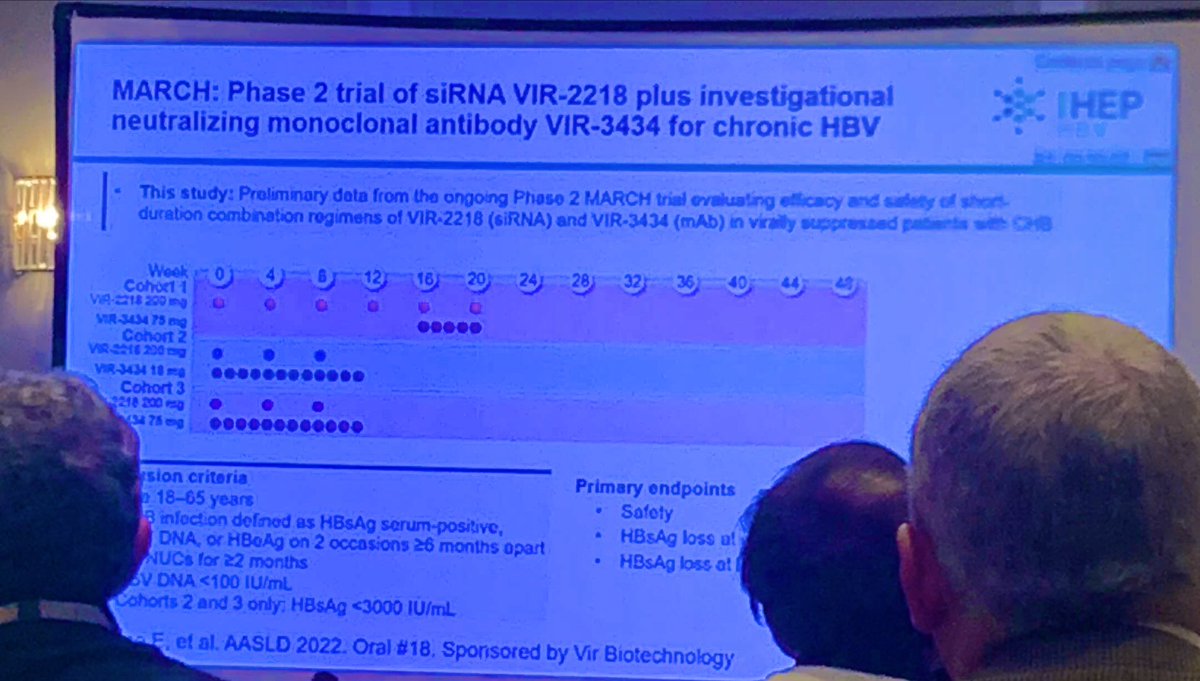 heppharm's tweet photo. Shifting the focus to #HepatitisB. Discussing the progress made to achieving a #functionalcure at the @basl_events BVHG and HBV SiG meeting last week. An exciting road ahead for #viralhep Elimination! https://t.co/g3DH5Kheli