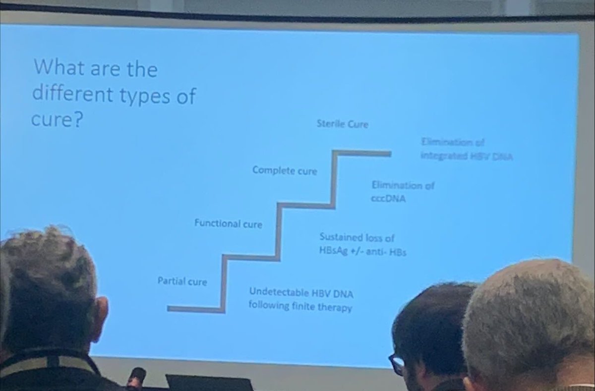 heppharm's tweet photo. Shifting the focus to #HepatitisB. Discussing the progress made to achieving a #functionalcure at the @basl_events BVHG and HBV SiG meeting last week. An exciting road ahead for #viralhep Elimination! https://t.co/g3DH5Kheli