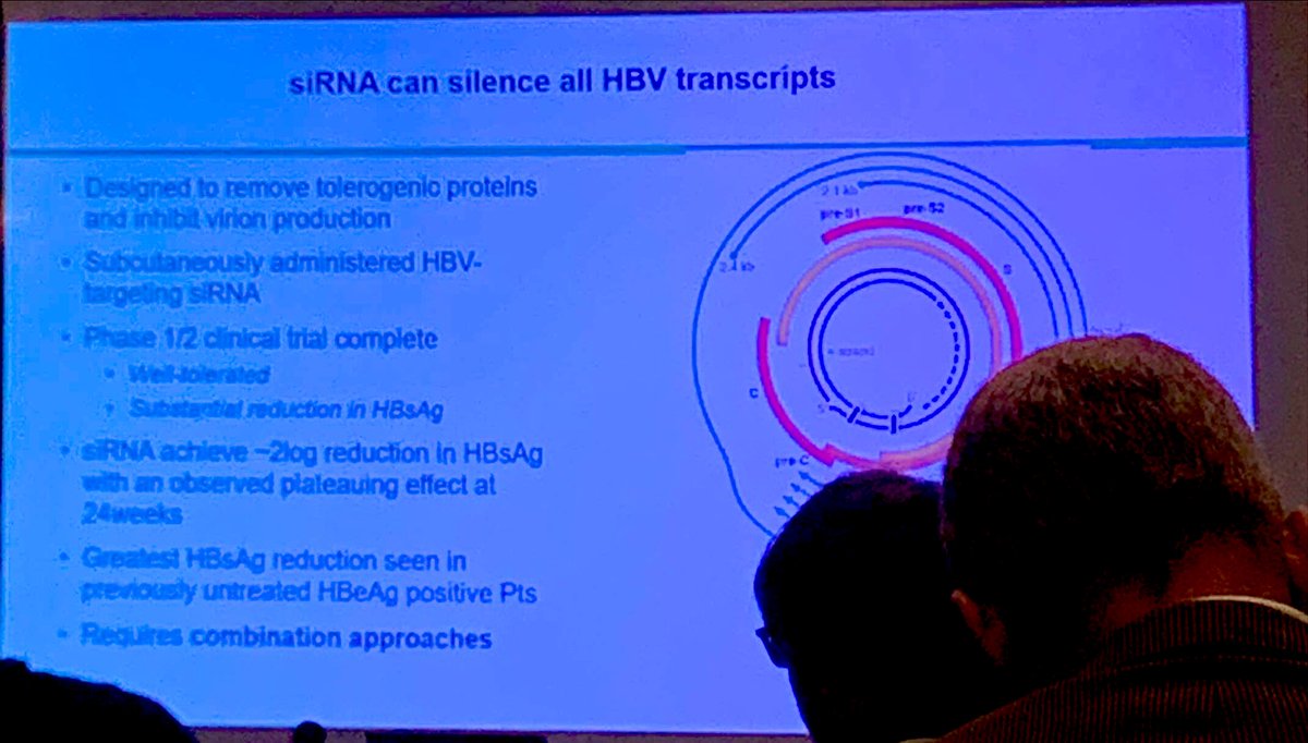 heppharm's tweet photo. Shifting the focus to #HepatitisB. Discussing the progress made to achieving a #functionalcure at the @basl_events BVHG and HBV SiG meeting last week. An exciting road ahead for #viralhep Elimination! https://t.co/g3DH5Kheli