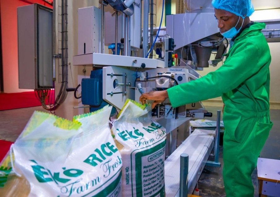 Abisola Olusanya | The Lagos Food Architect tweet media