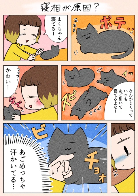 「寝相が原因?」
まくは基本顎を引く、姿勢が良いスタイルです(笑)

#漫画が読めるハッシュタグ
#日常
#猫 