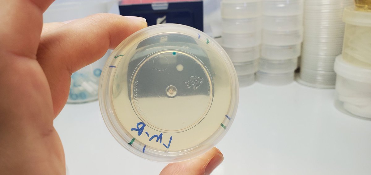 Sebastian S. Cocioba🪄🌷 tweet media