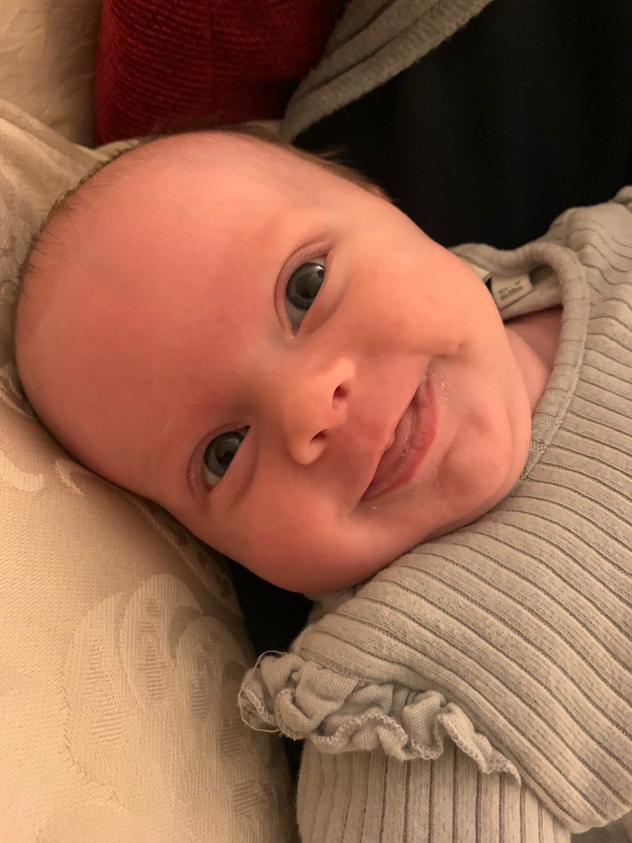 Tiny Tims Adventures tweet media