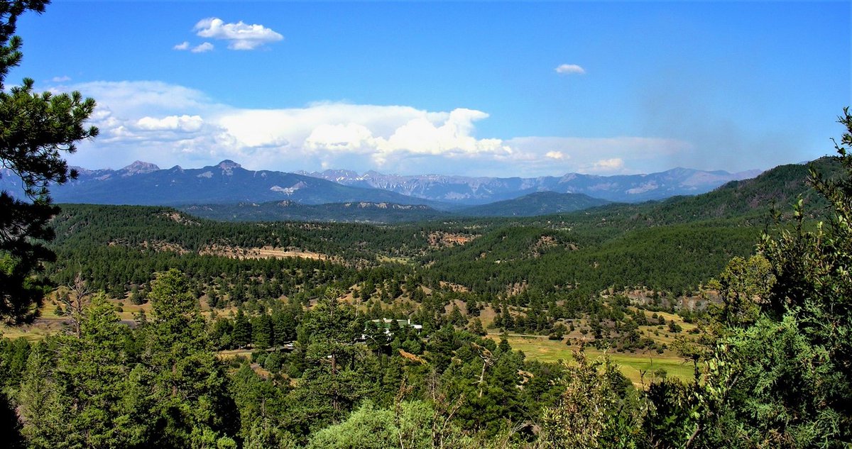 M4RanchGroup's tweet photo. 𝐅𝐨𝐫𝐞𝐬𝐭 𝐏𝐚𝐫𝐤 𝐑𝐚𝐧𝐜𝐡
Pagosa Springs, Colorado | 2,214± Acres

𝐒𝐞𝐞 𝐦𝐨𝐫𝐞 𝐨𝐟 𝐭𝐡𝐢𝐬 𝐫𝐚𝐧𝐜𝐡: https://t.co/GN46yQLepF

#M4RanchGroup #DedicatedRanchBrokers #AnytimeAnywhereAnySeason #WorkingHardForYourSuccess https://t.co/zl8YR4sYqb