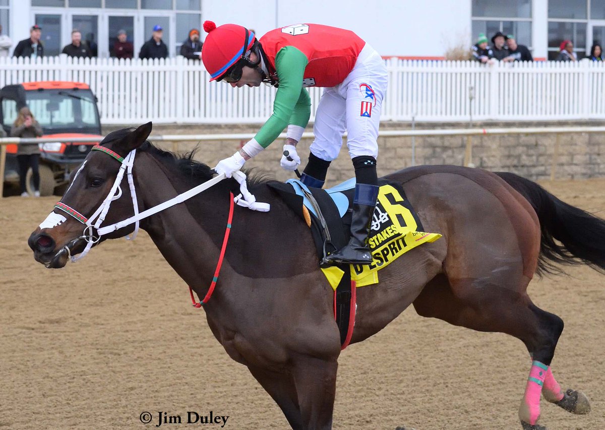 Maryland Thoroughbred tweet media