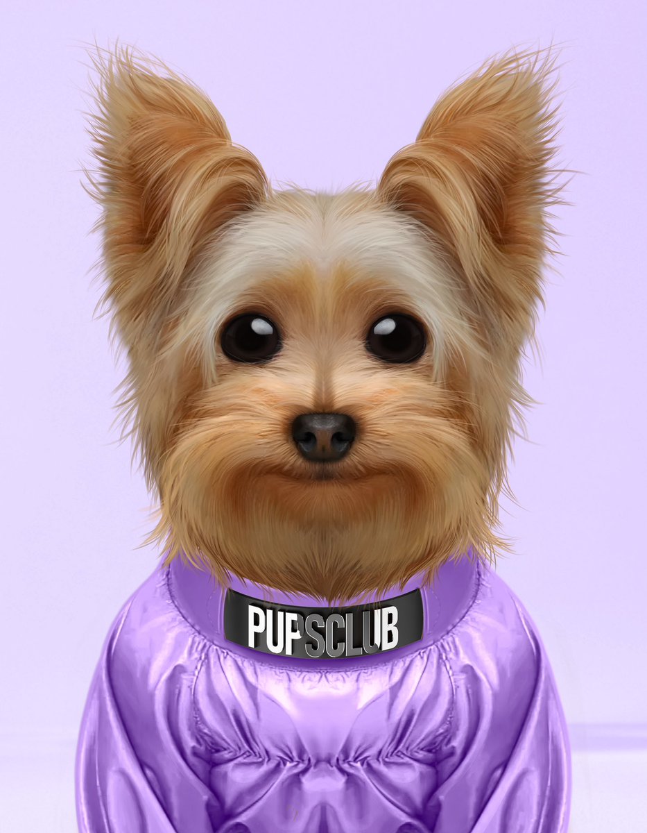 pupsclub's tweet photo. GM ✨👋🏻👋🏻☀️☀️ https://t.co/HiqxnyVYur