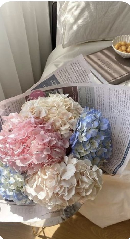 24mariaceves's tweet photo. Existe algo más perfecto que las hortensias? 😻 https://t.co/oipRMx2gmn