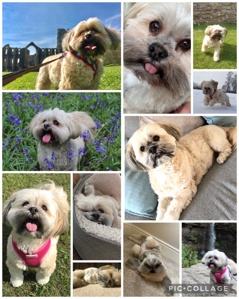 Jo Woolley tweet media