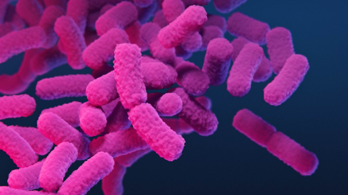 DZIF_'s tweet photo. Zielsicherer Test für Antibiotika-Resistenzen in klinischen #Enterobacter-Arten entwickelt: https://t.co/LiF8vHGpJz

#AMR #AntibiotikaResistenz #Antibiotika #colistin @jlugiessen https://t.co/xOBFJsJjvL