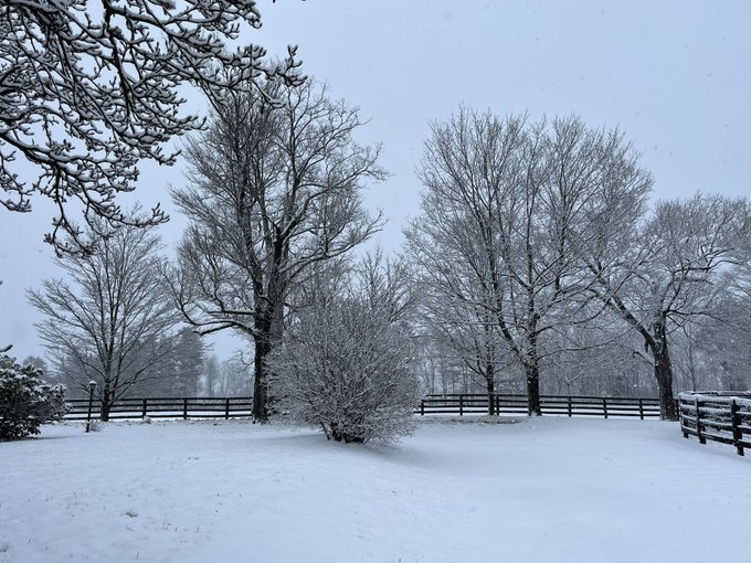Winter wonderland! 🥶 ❄️ https://t.co/ffc8HduWXs<a href="/tag/sobeautiful"class="tags"><span>#sobeautiful</span></a><a href="/tag/lookslikecottoncandy"class="tags"><span>#lookslikecottoncandy</span></a>
