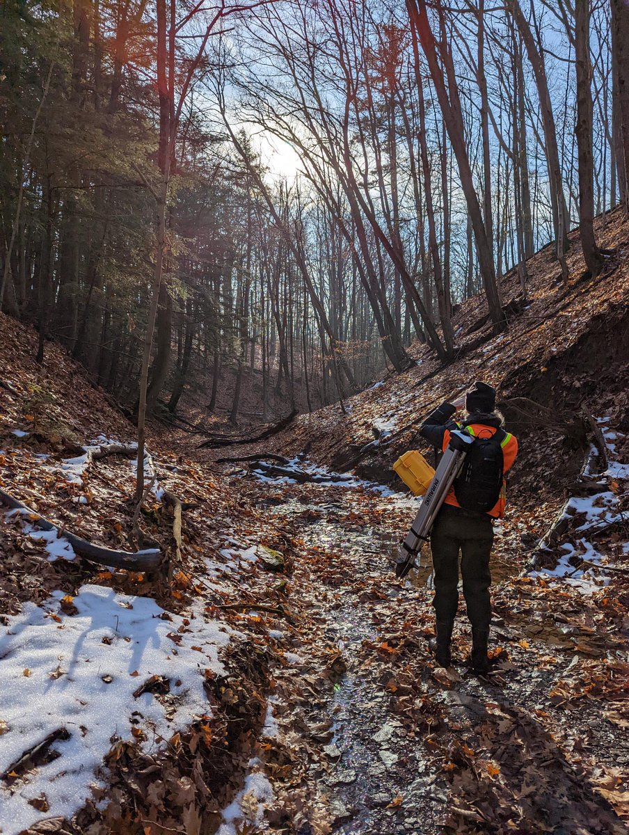 GEO Morphix Ltd tweet media