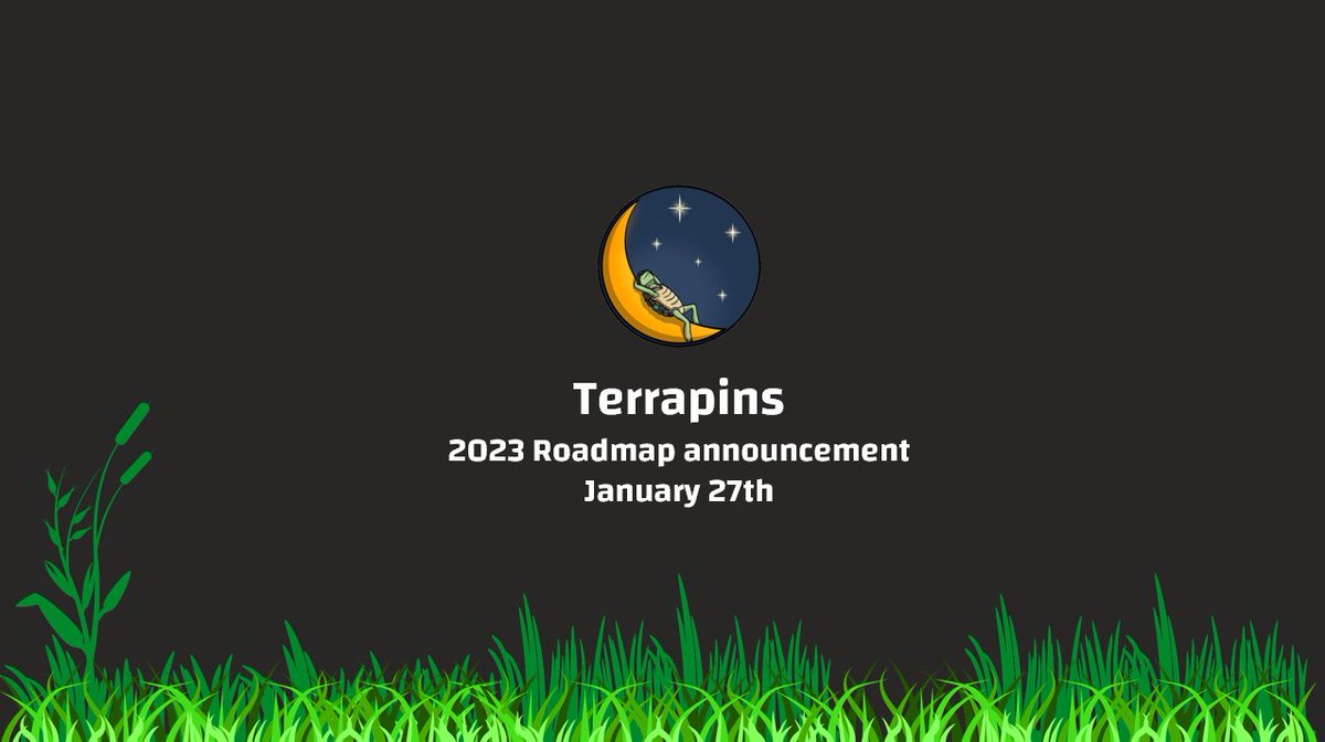 Terrapins tweet media