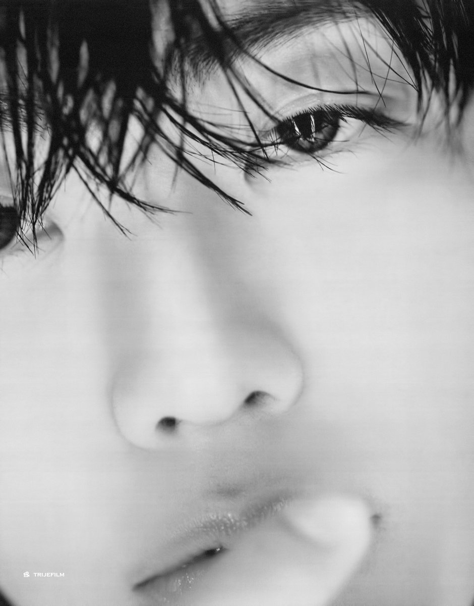 트리제 tweet media