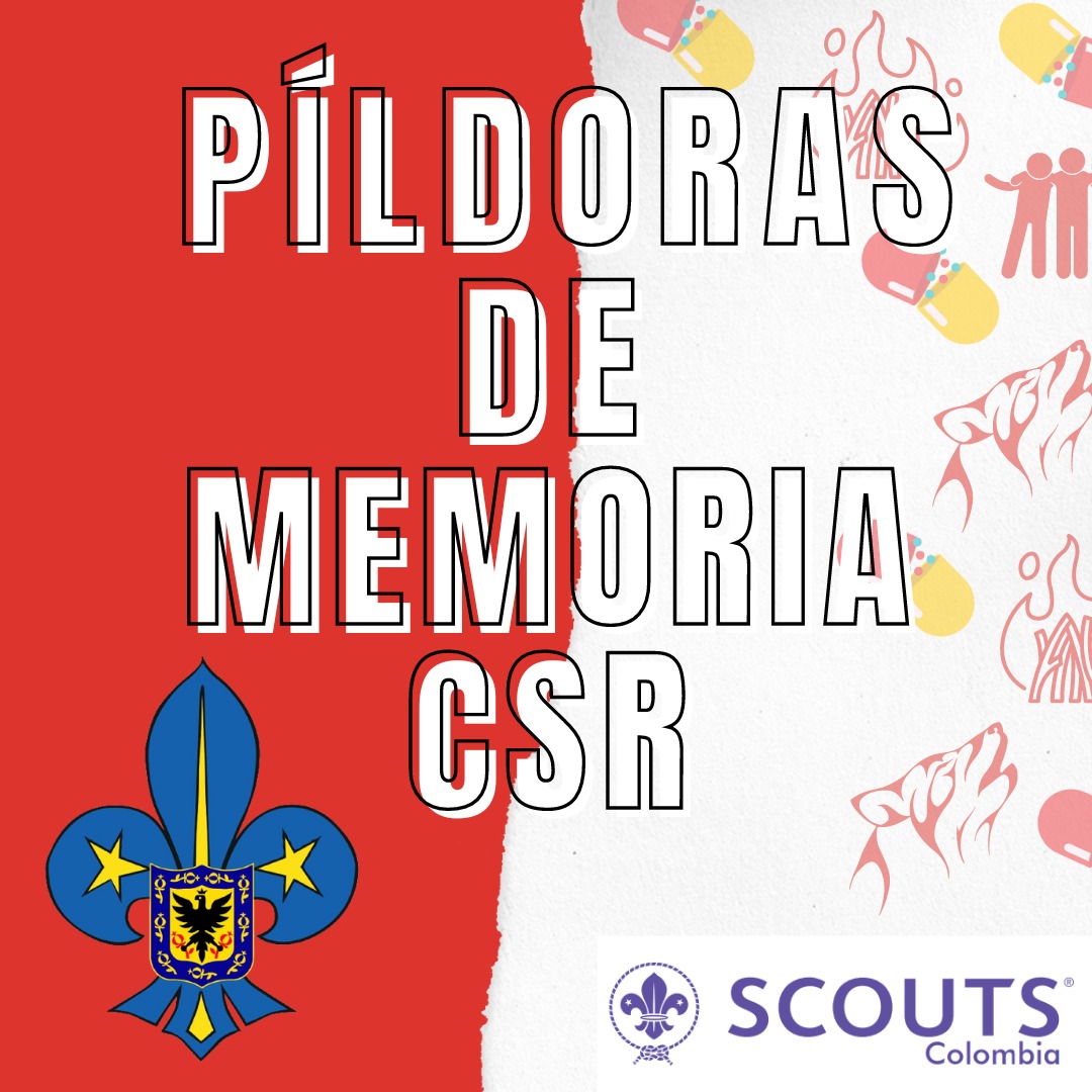 Scouts de Bogotá tweet media