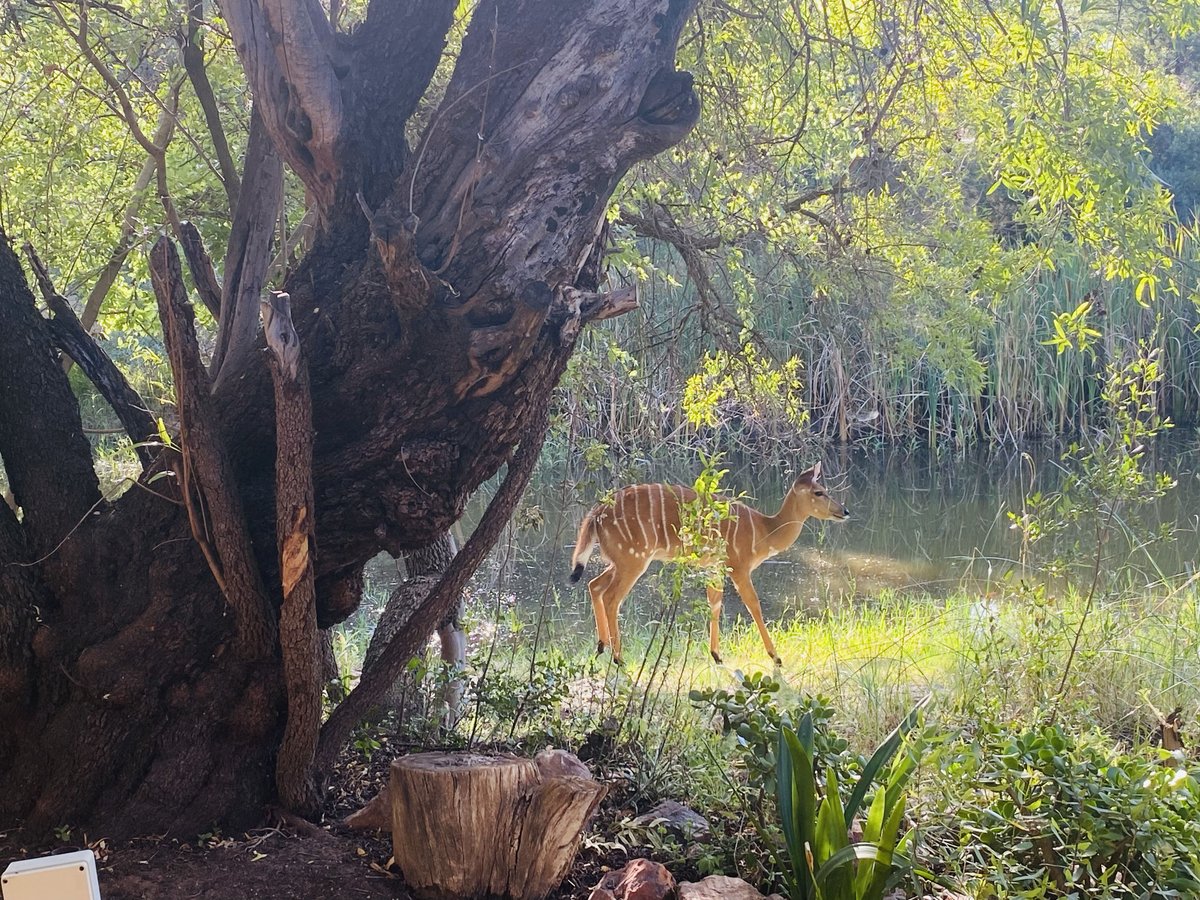 Nick & Lins tweet media