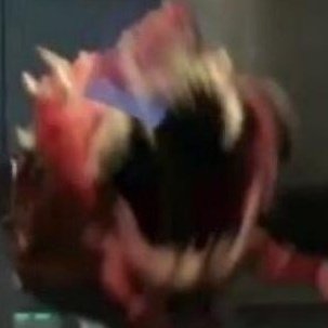 Ratamon 💾 tweet media