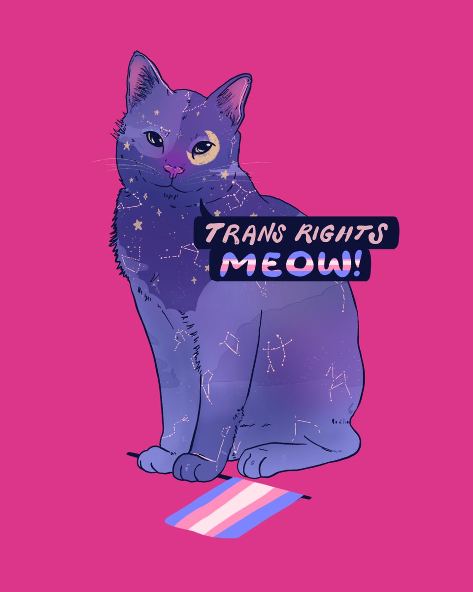 Liberal Jane (@liberaljanee) on Twitter photo 