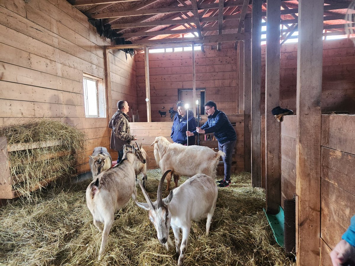 They say don’t work with kids or animals. <a href="/AtaraxyFar/">Ataraxy Farm</a> <a href="/MountainsOfNS/">Mountains Of Nova Scotia</a>