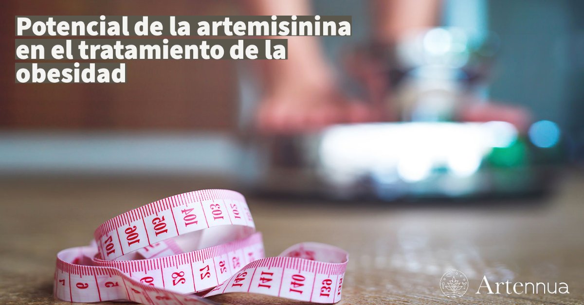 ARTENNUA® tweet media