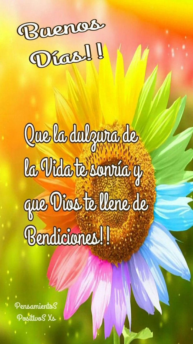Bonito dia