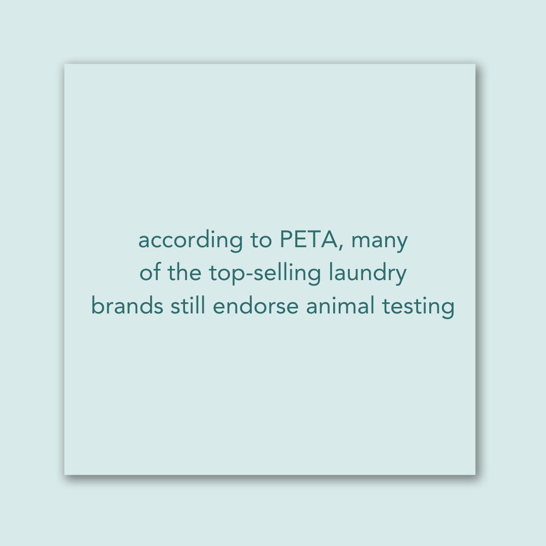 Kind Laundry tweet media