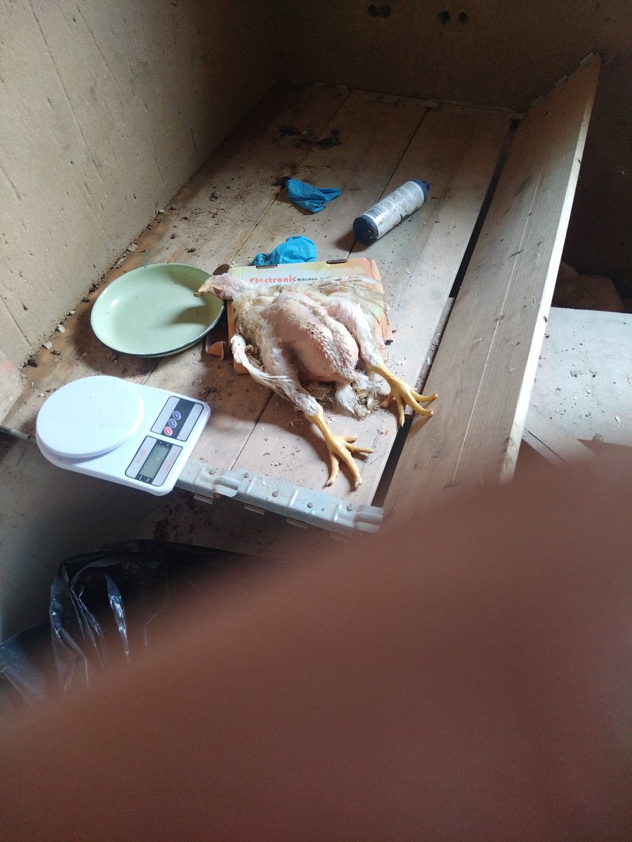 Tibiyo_Poultry's tweet photo. Waking up to this everyday 💔😭😭South Africans we really suffering #Loadshedding #blackout #Eskom #Petrol https://t.co/ihZGUH3pUZ