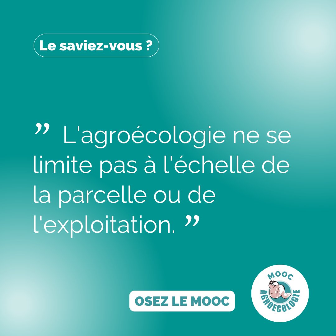 Archibald_AE's tweet photo. Bonjour à toutes et à tous ! 🌱 

La 7e session du MOOC Agroécologie démarre ce vendredi.  Pour s'inscrire, c'est par ici : 
https://t.co/g0XHBERAVA

A très vite ! https://t.co/1fYLkLQLwM