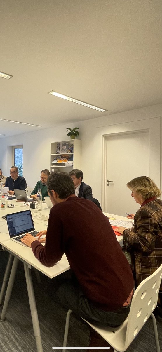 Important Board meeting @EPDeu today. Planning a crucial year ahead of us. We are the Democracy support community in Europe. @ALDAeurope @meyer_resende @adr_smith @EU_Commission @WeAreNIMD @NHC_nl