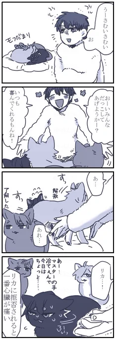 ネコチャン漫画 