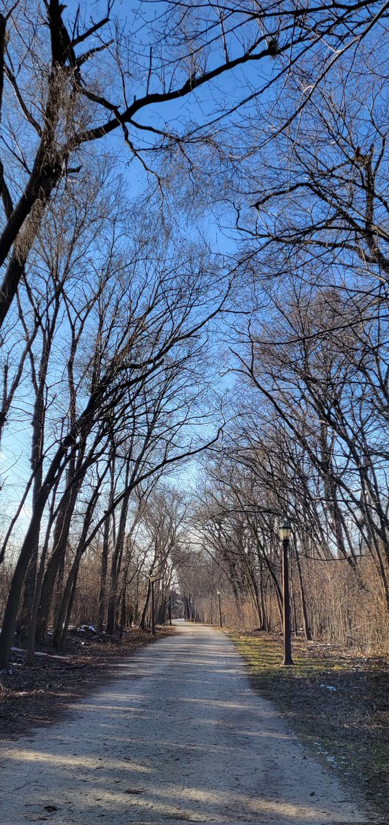 LynnKrizic's tweet photo. Rare blue sky sighted today!! Am now officially re-energized! #WinterVibes #landscapes #prairiepath #moodoftheday https://t.co/EMWawRdZHQ